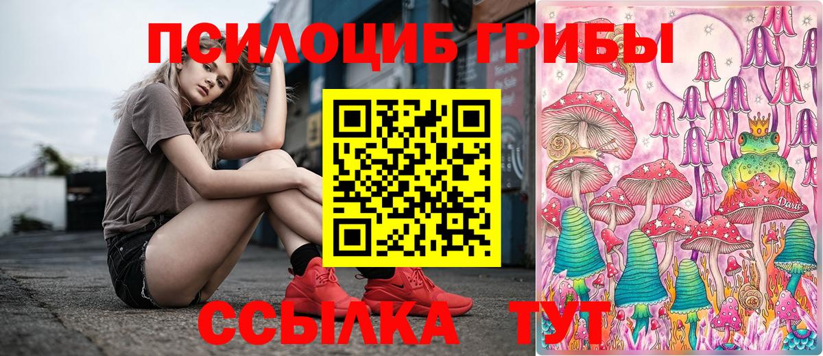 Галлюциногенные грибы Psilocybine cubensis Ефремов