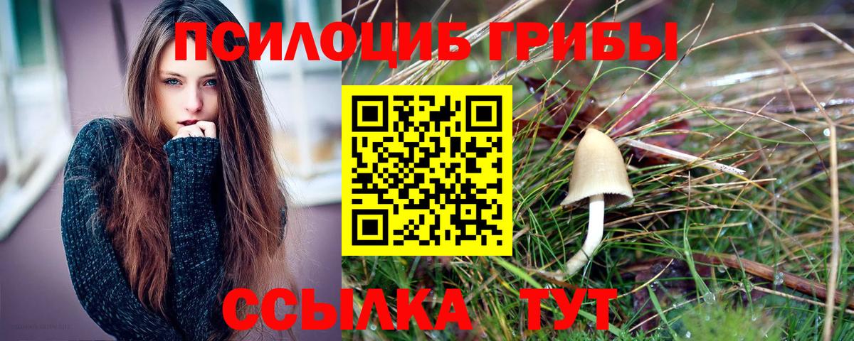 Ефремов  Псилоцибиновые грибы MAGIC MUSHROOMS  Вход с VPN 